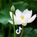 晴天彩虹