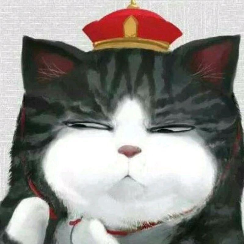 会飞的金正毛