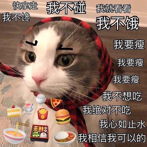 赵山河