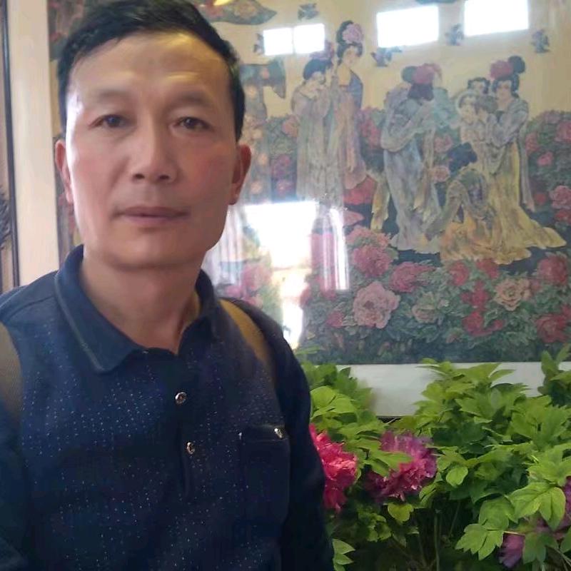凤凰高翔
