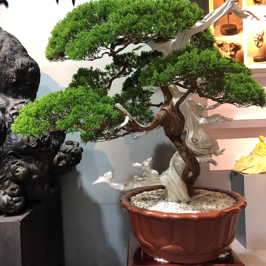 莆田容园