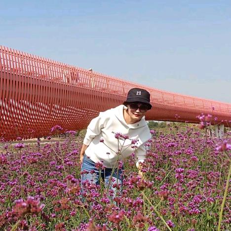 美丽人生🌷