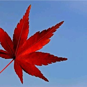 天山风