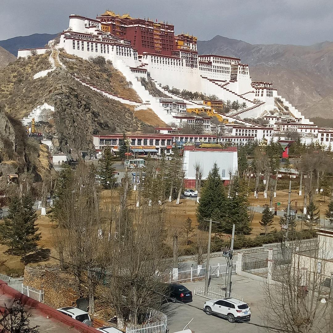 布桑
