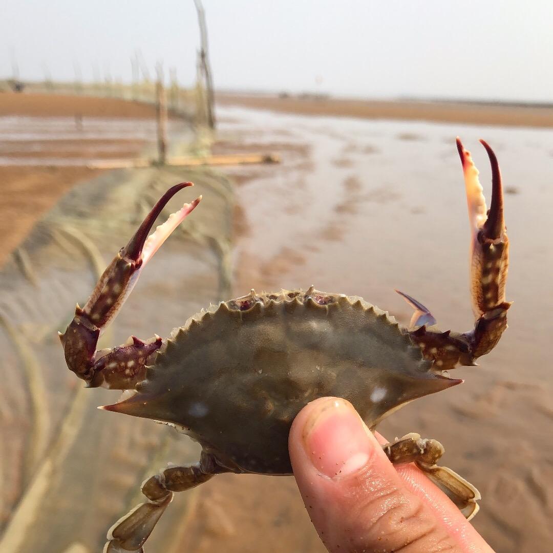 小顺