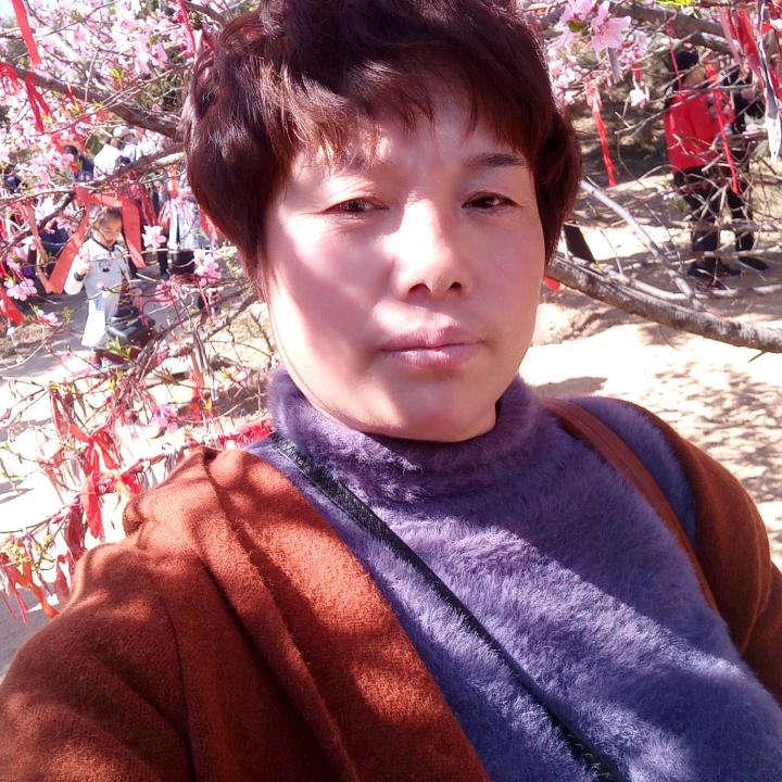 盛世芳华