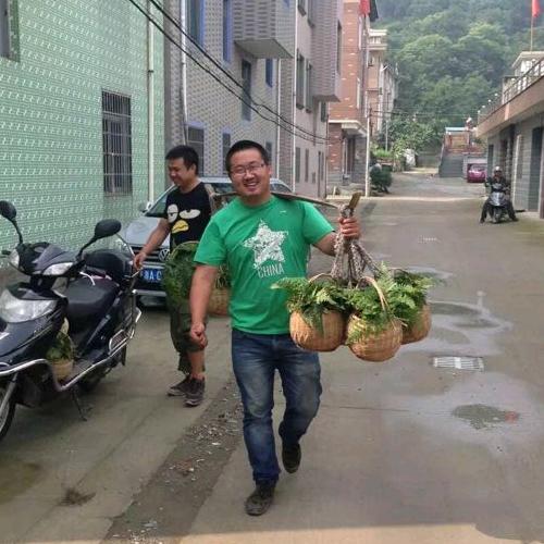 所前杨梅哥