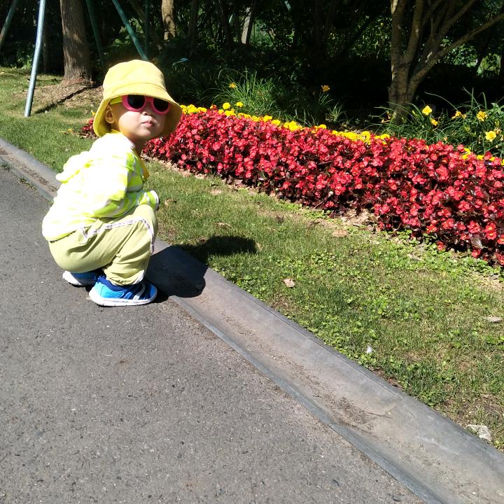 Lisa