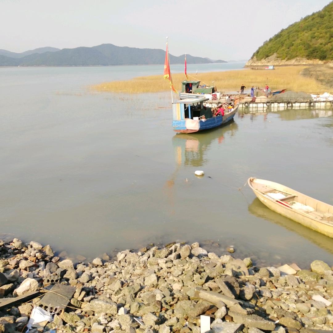 淡淡回忆
