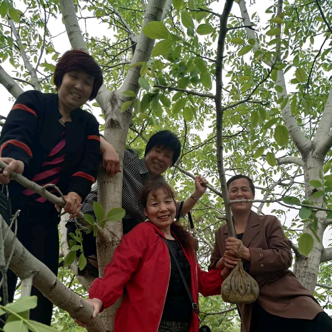 谁能懂我