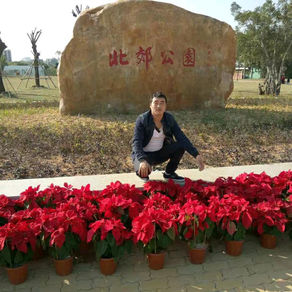 ￥怒力拼搏￥
