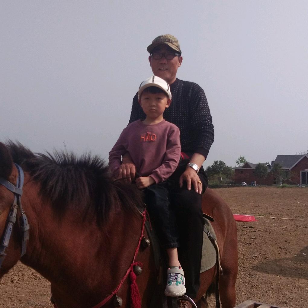 早晨的太阳