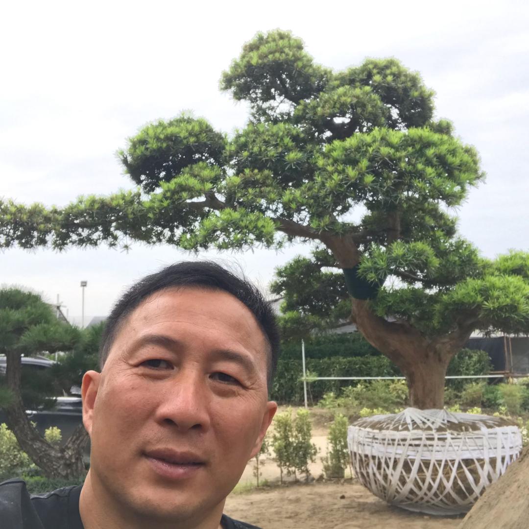 上海青龙园林绿化工程有限公司