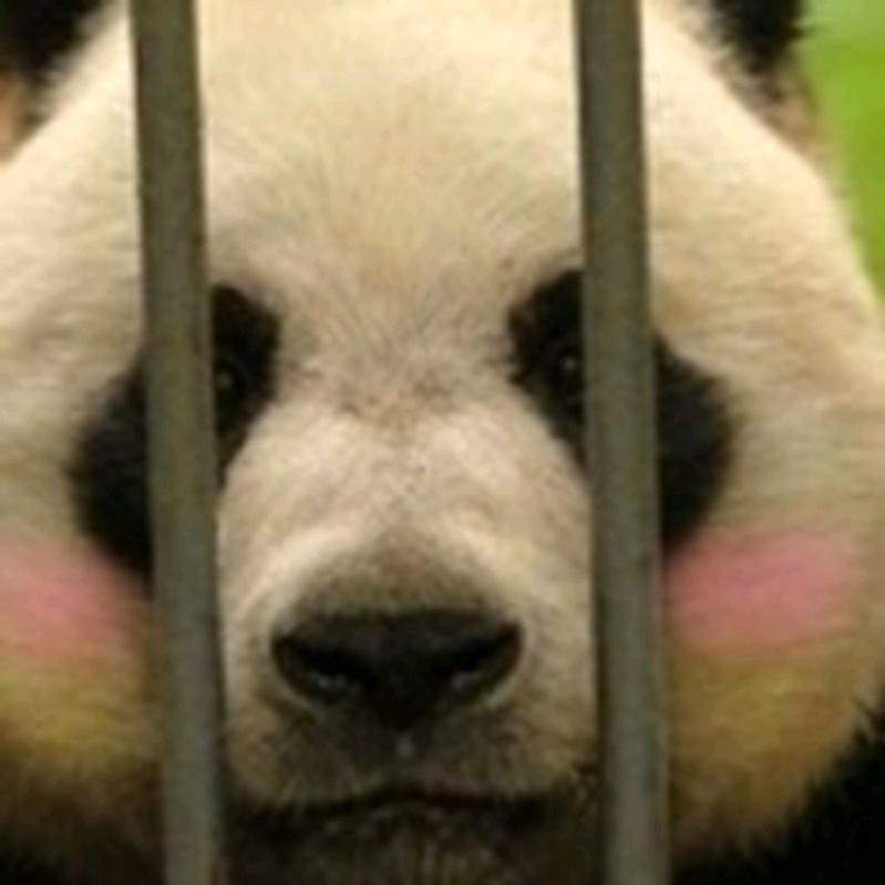 乱码的旅行故事