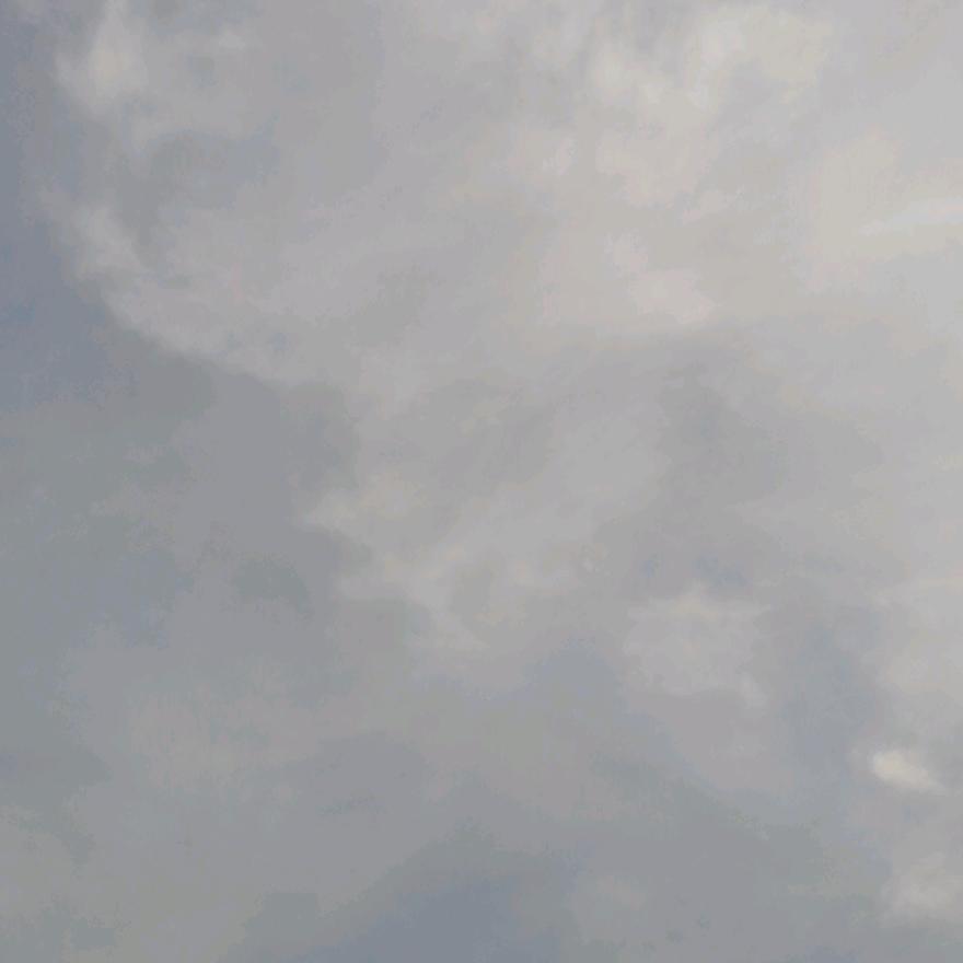 博情