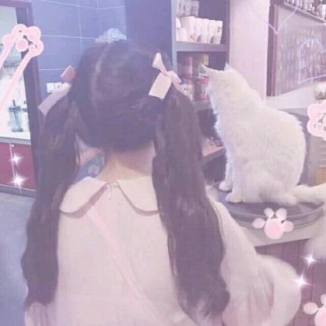 懵了一个夏^0^