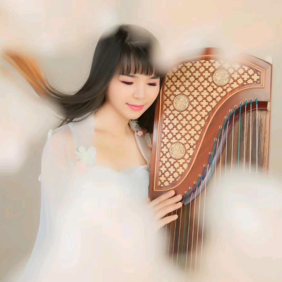 雅雅筝音