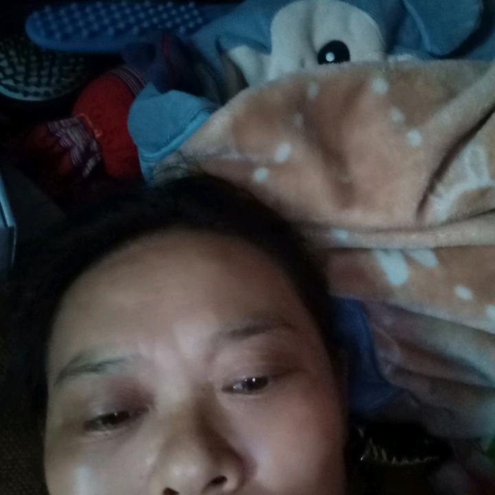 玫瑰花