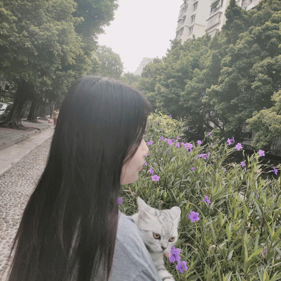 A      W   LI   莎