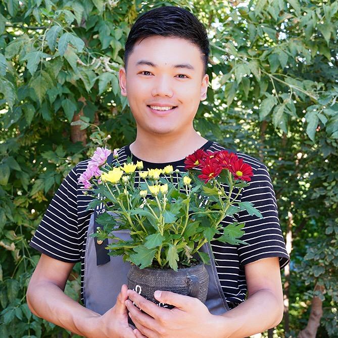 丸子君的小花园