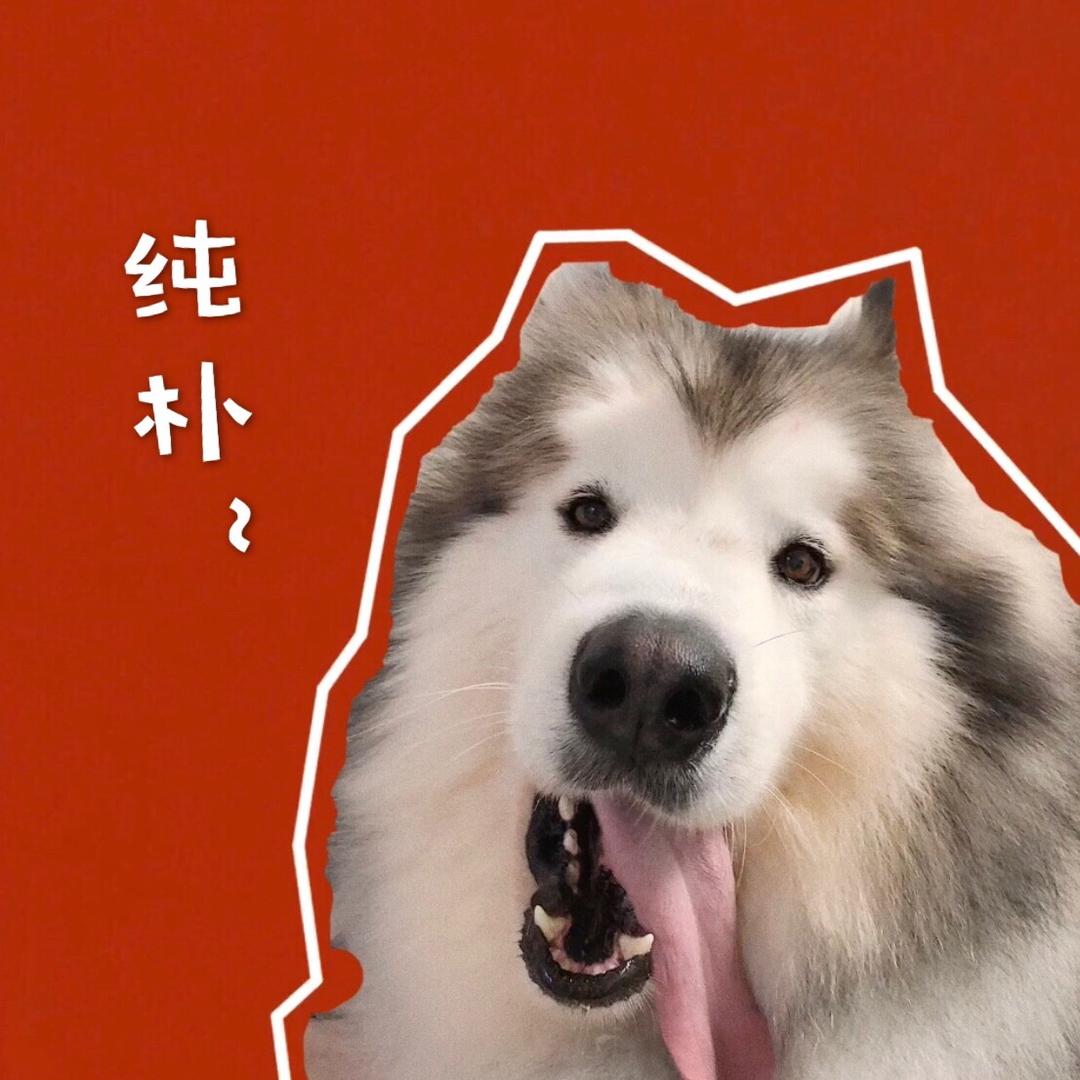 巴打的日常