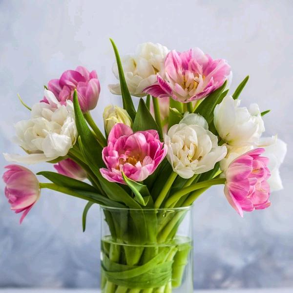 阿芬