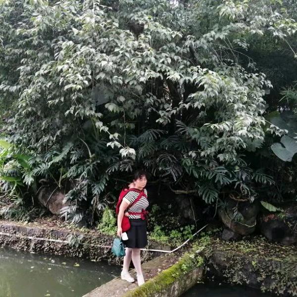 🍀四叶草🍀