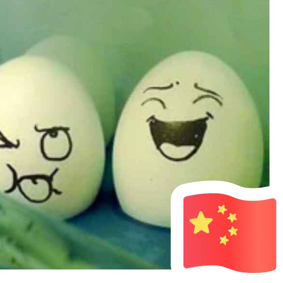 面面
