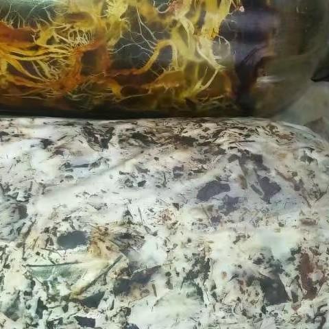 彝良永合食用菌种植农民专业合作社