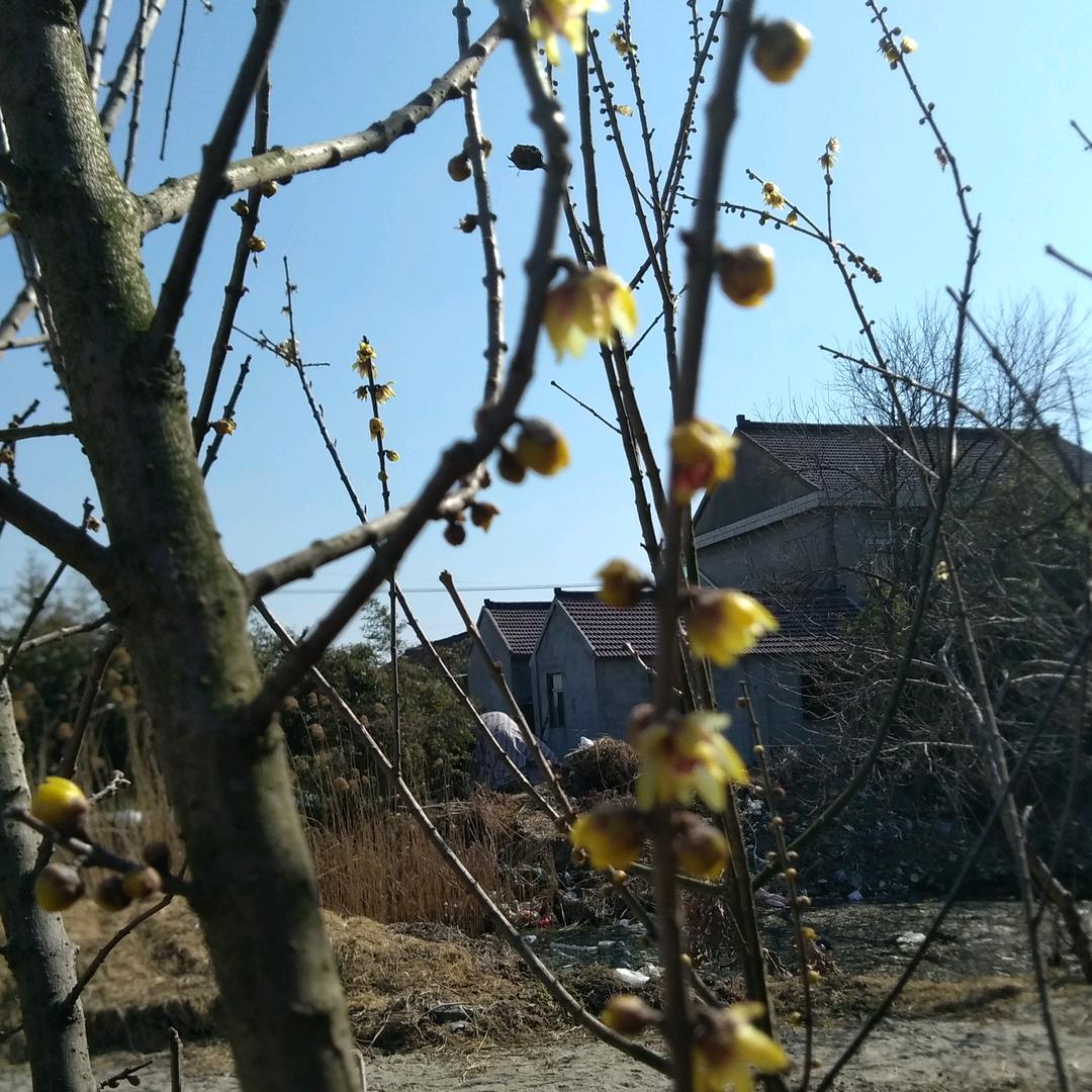 珍惜
