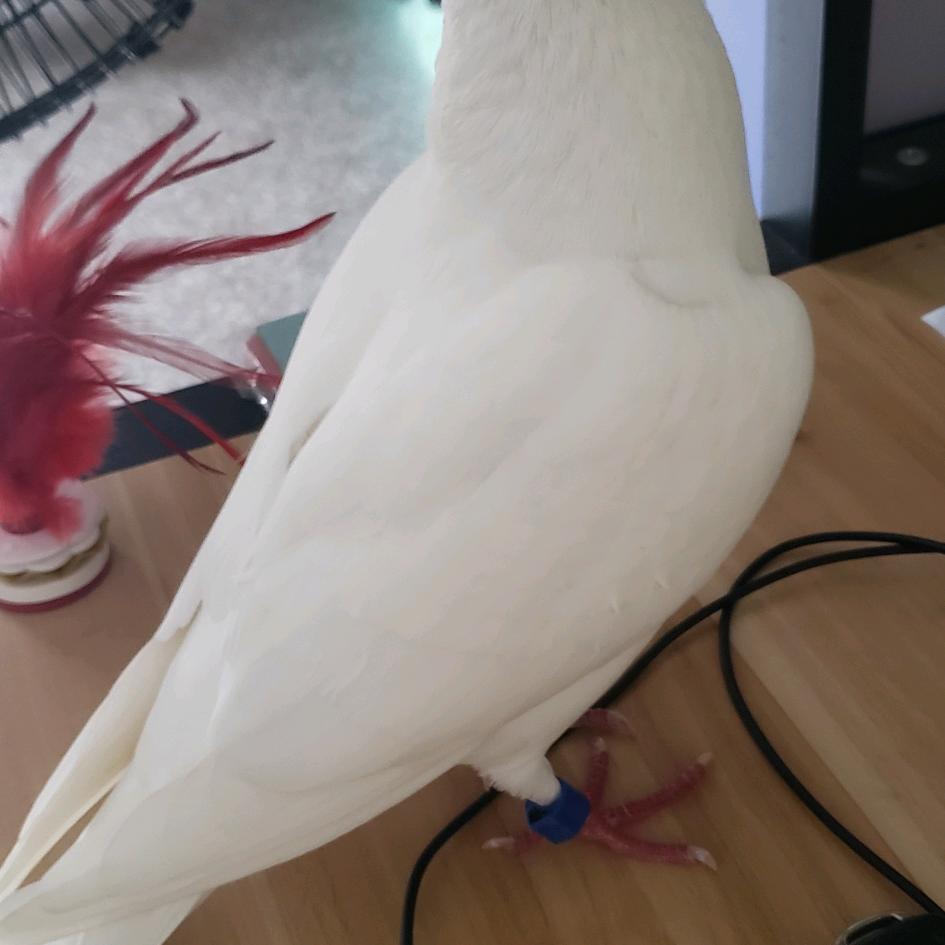 兜兜风音乐厅