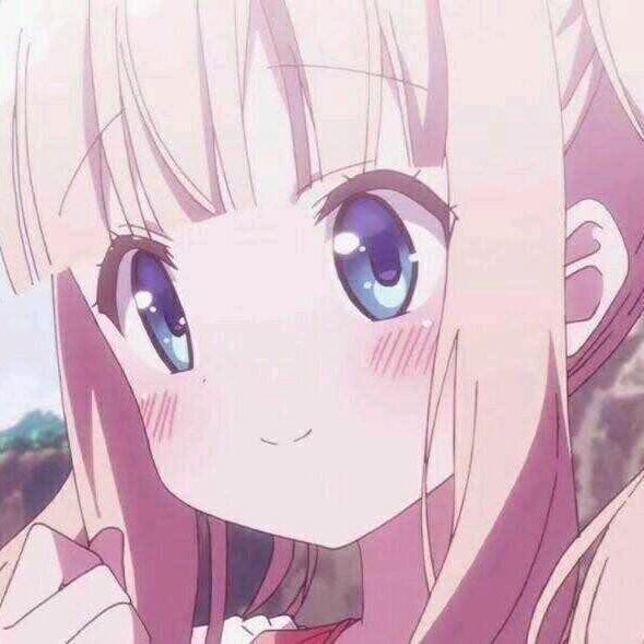 岁岁猫