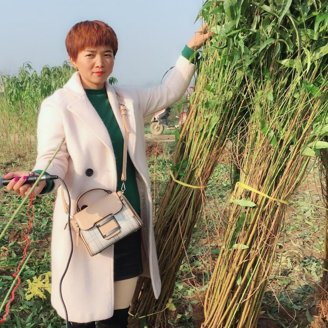 淮阳张霞果苗基地