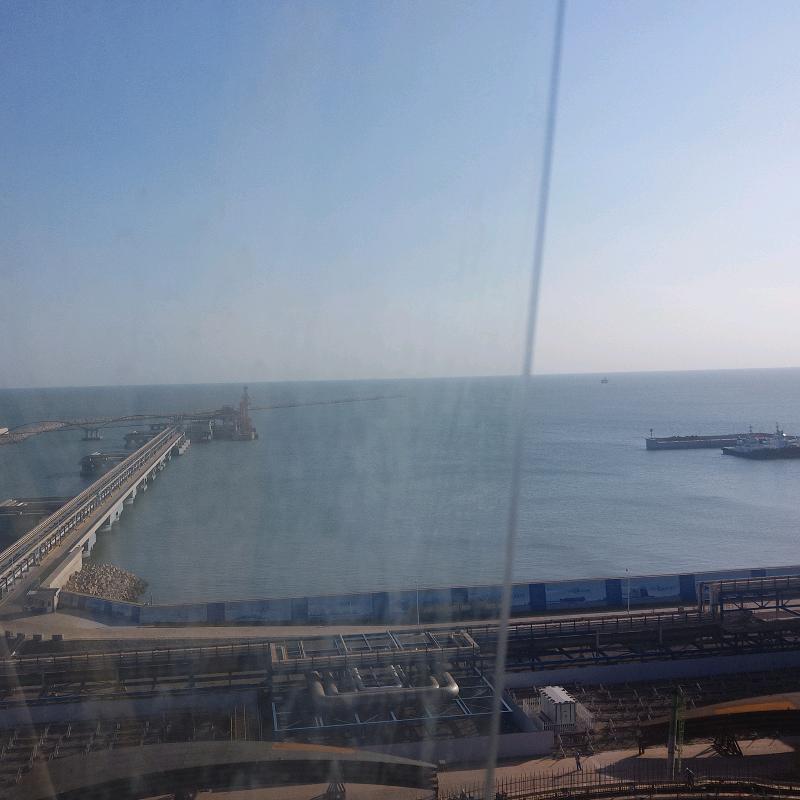 高傲飞翔