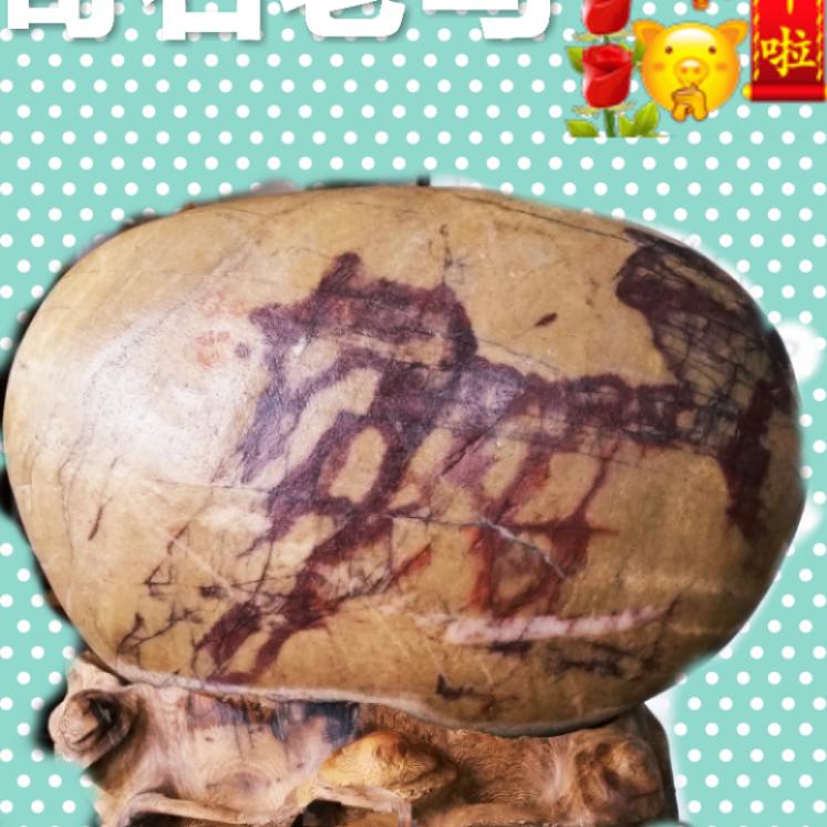 泉之梦