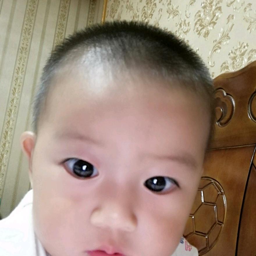 朱闫张
