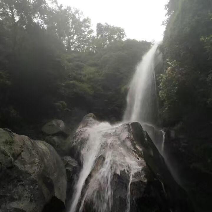 达福