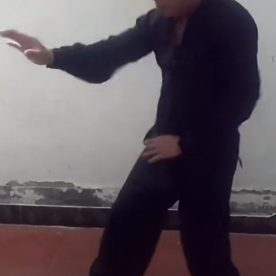 形意向磊
