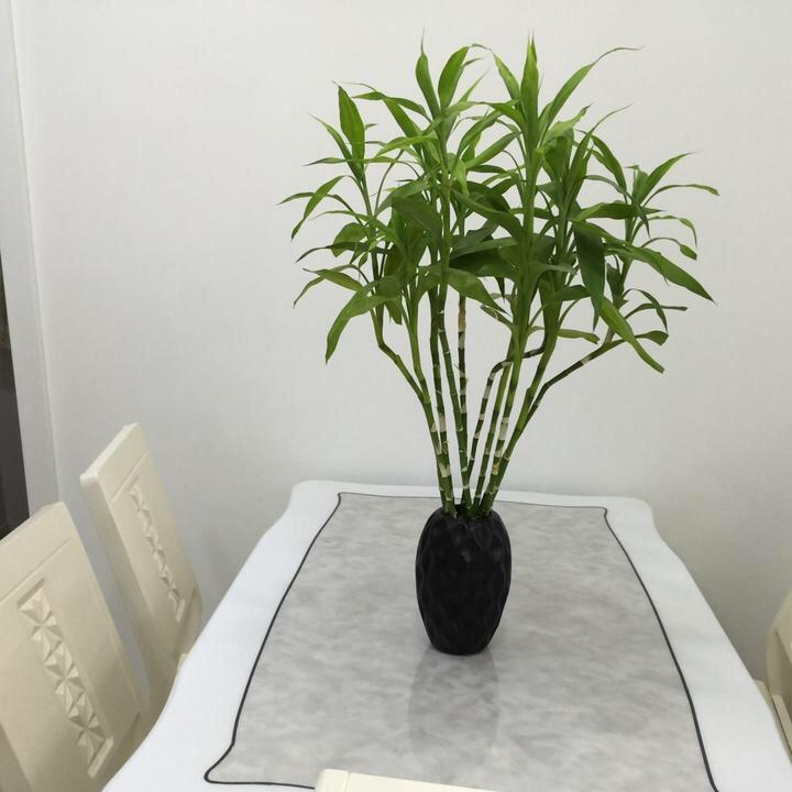 郑郑