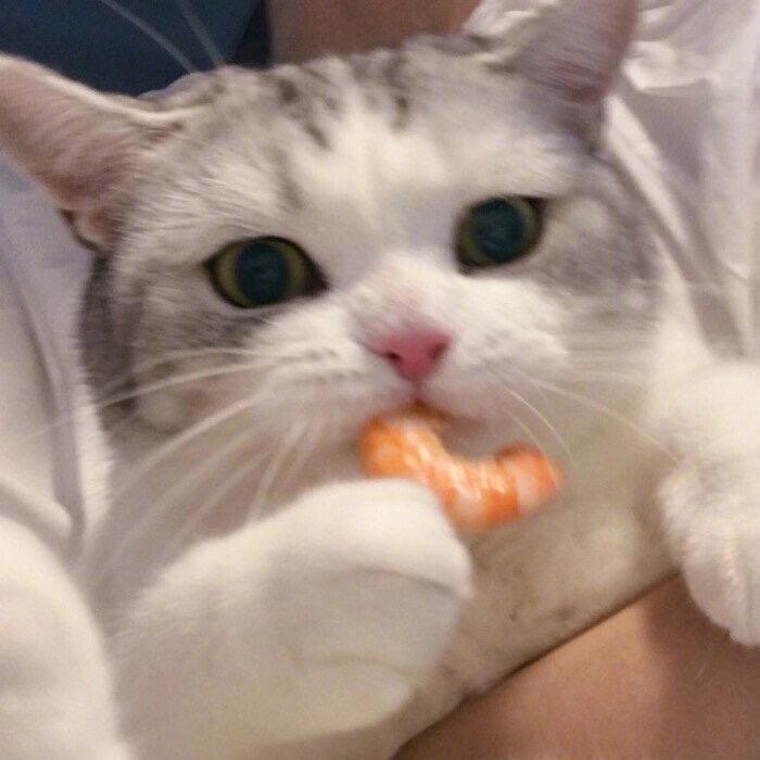 不知名网友