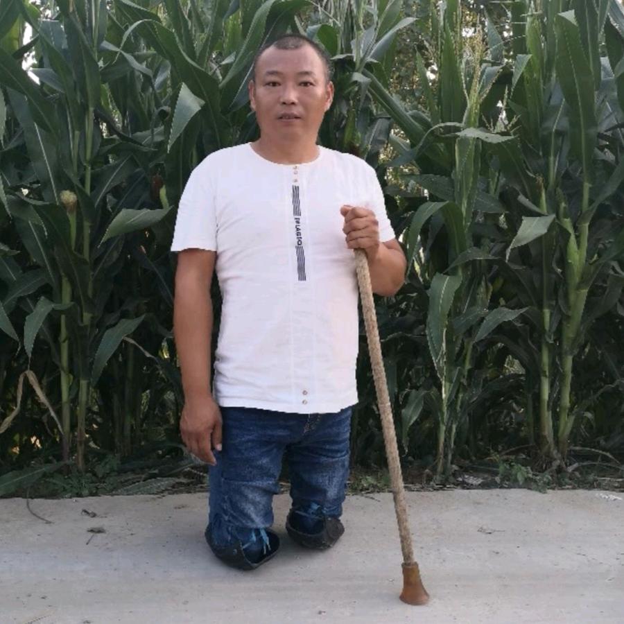 周歌