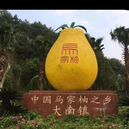 宝柚专营店