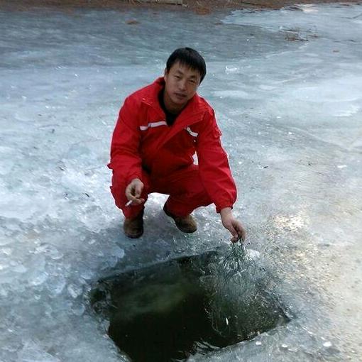 森林小虎哥