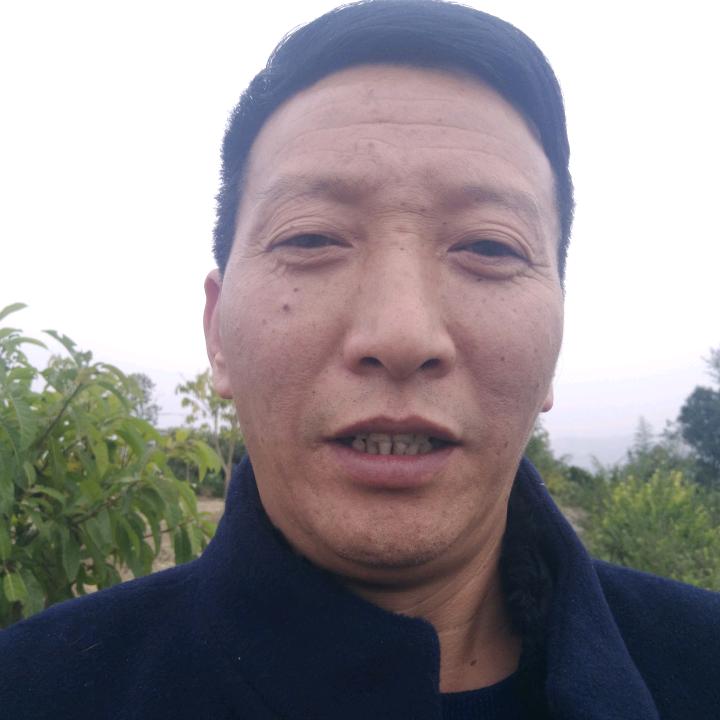 水果爱好者罗朝阳