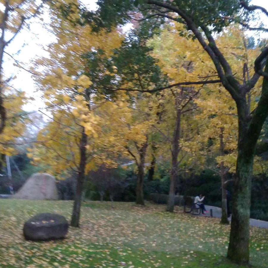 明一