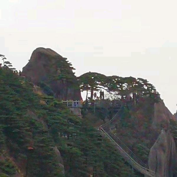胖点