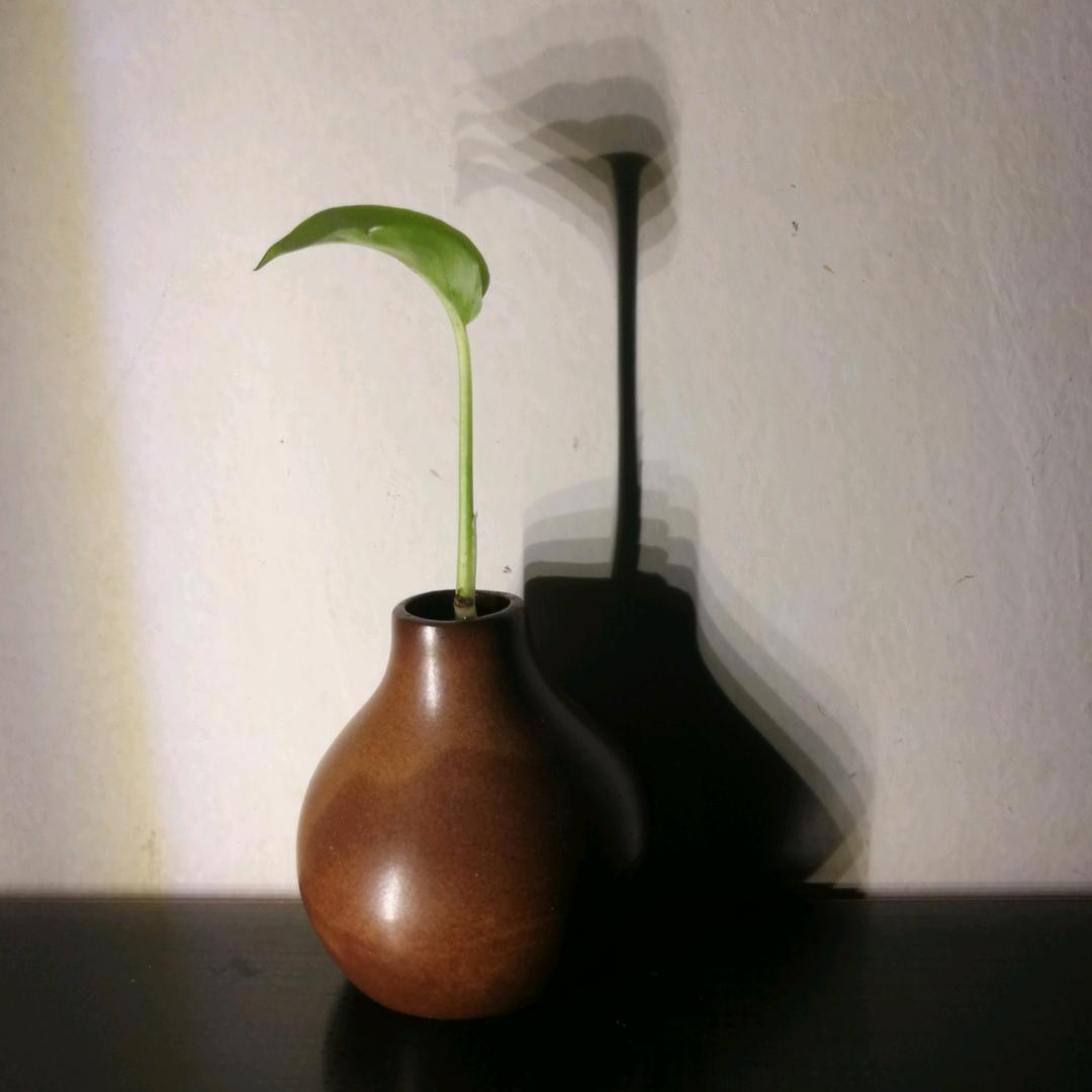 禅语茶渡