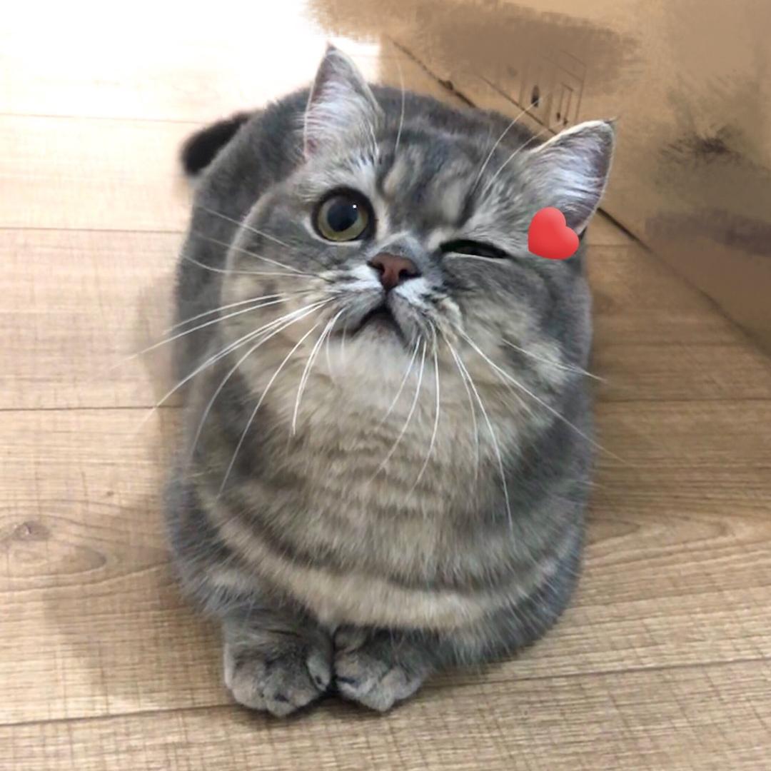 牛牛牛牛