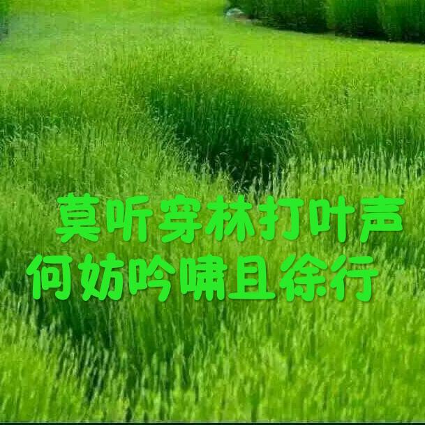 无产截击
