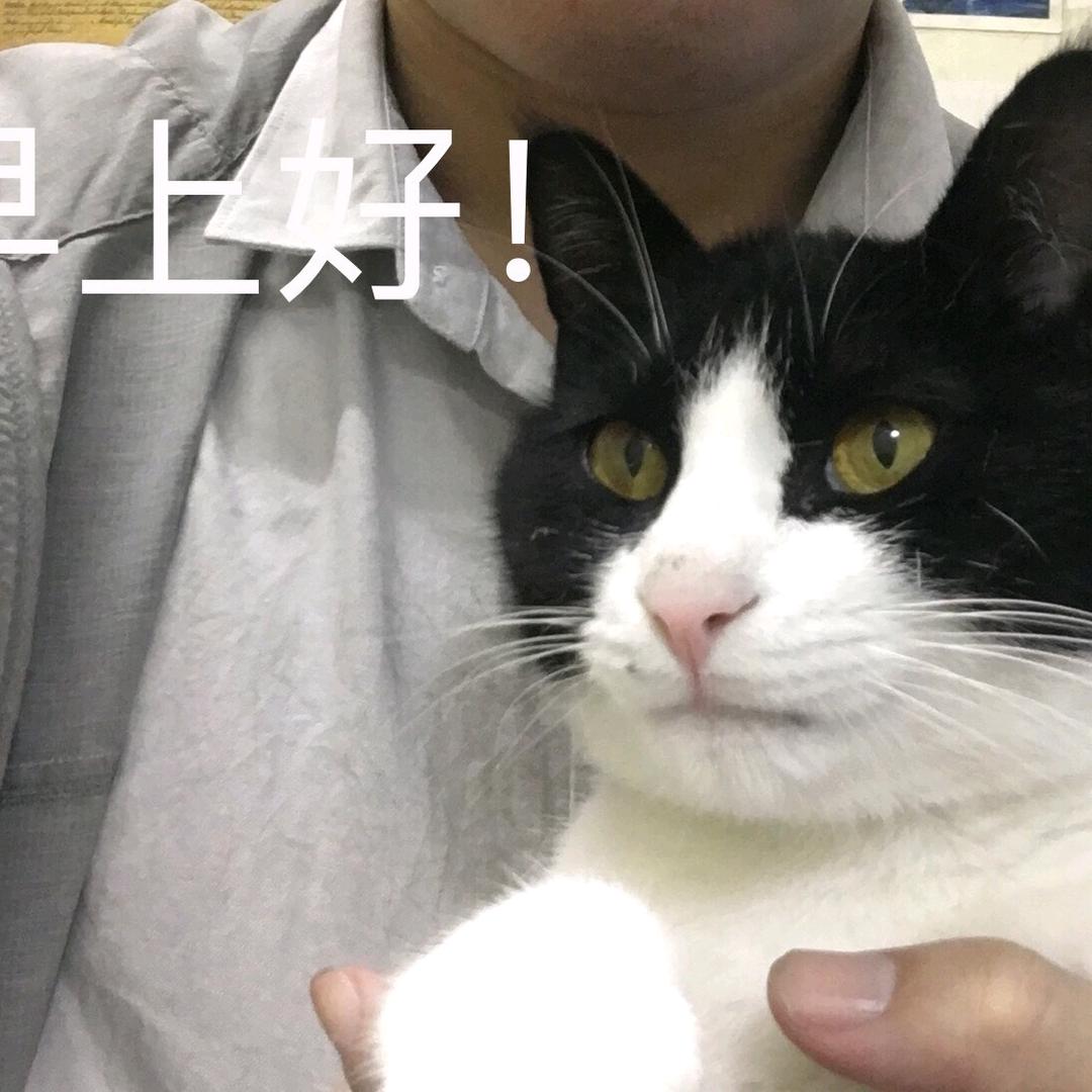 北野会武术
